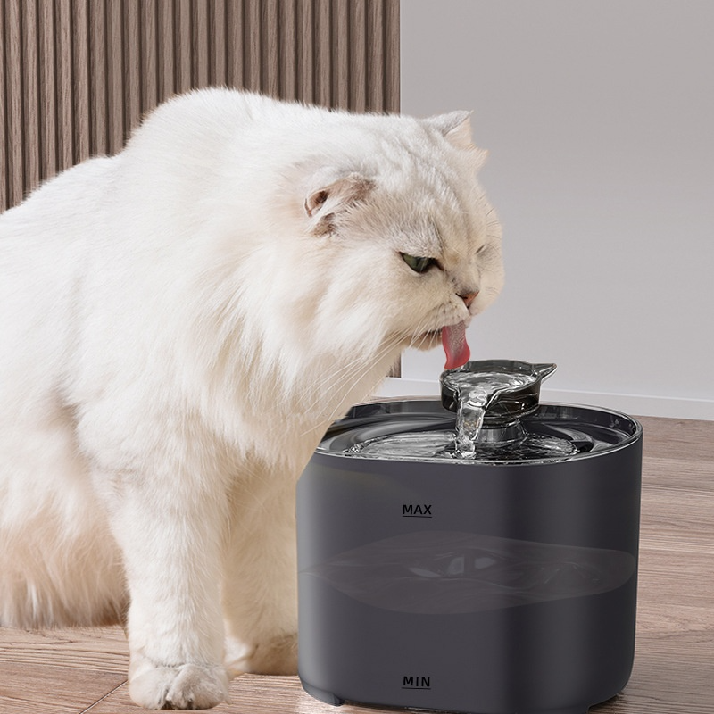 Chat buvant au filet d'eau de la fontaine Zootrin noire 2,2 L